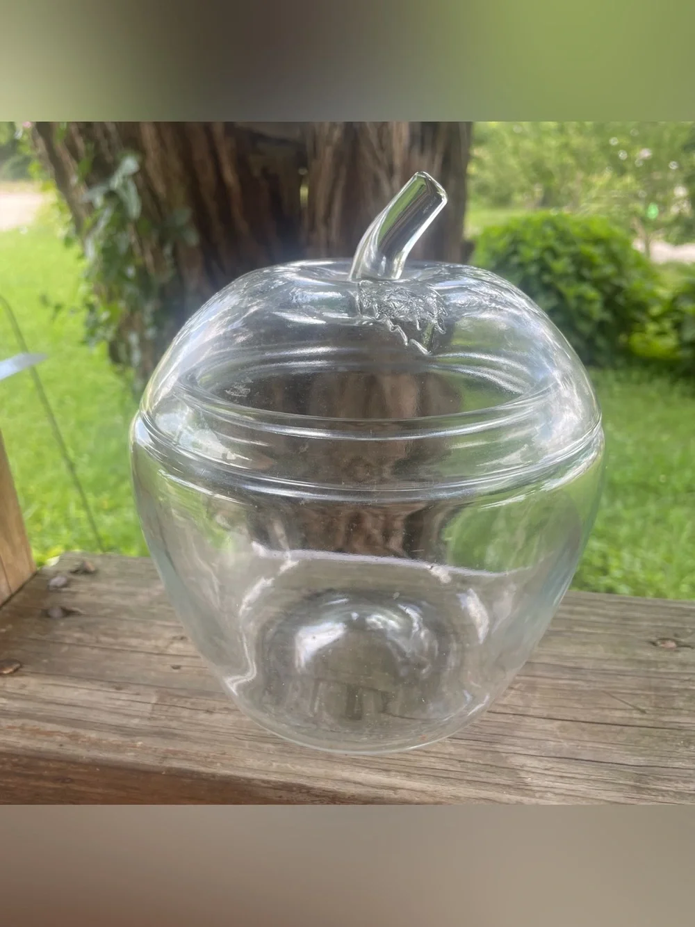 Vintage Clear Class Apple Canister Cookie or Candy Jar